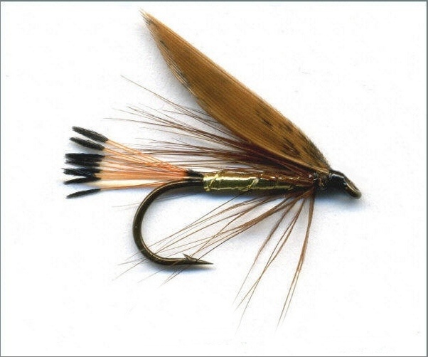 Cinnamon & Gold Sea Trout Fly