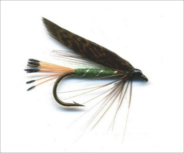 Grouse & Green Sea Trout Fly